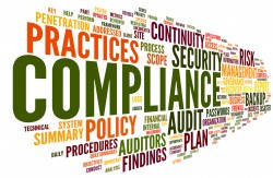 Software compliance audits
